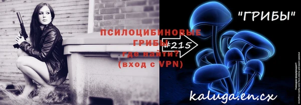 ECSTASY Няндома