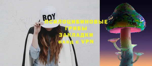 гидра Армянск