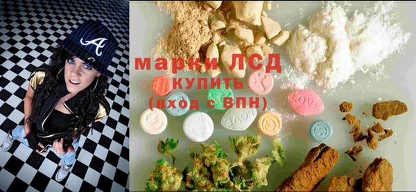 спайс Аркадак