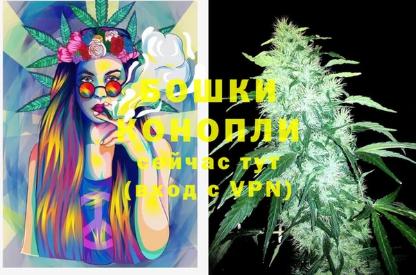 спайс Аркадак