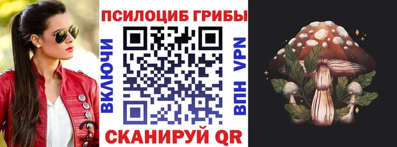 Псилоцибиновые грибы ЛСД Ревда